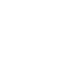 12x Optical