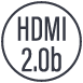 HDMI